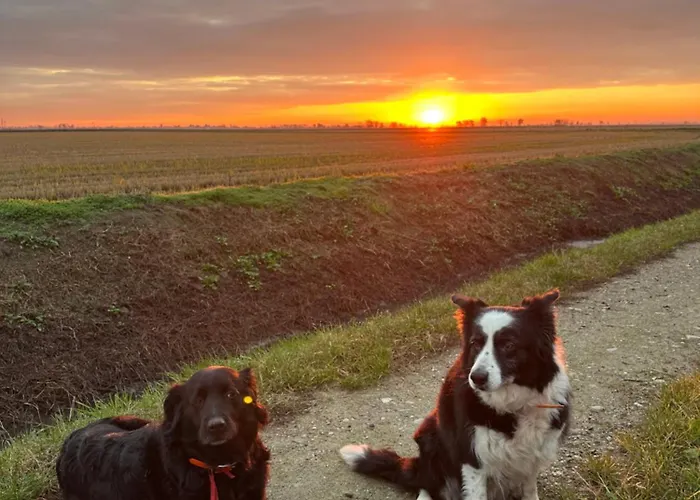 Séjour à la campagne C'era Volta - Country *